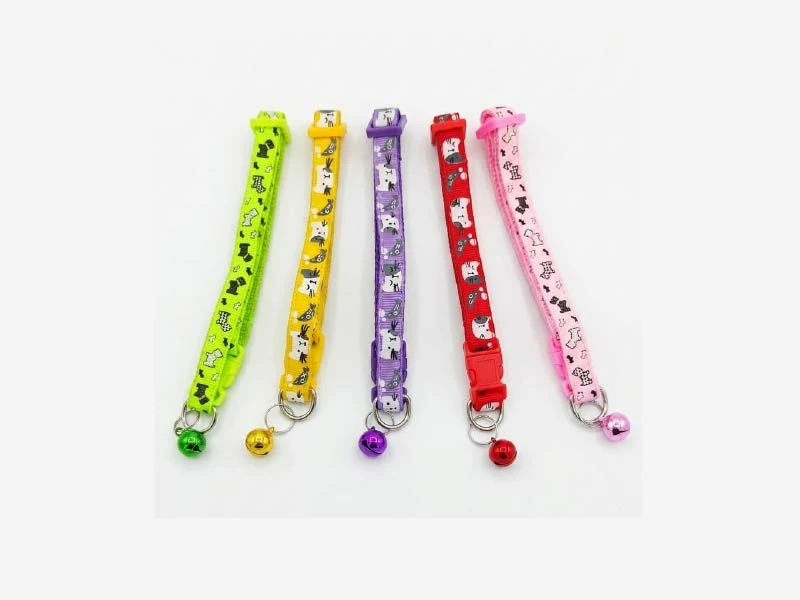 Collar Varios Colores con Cascabel