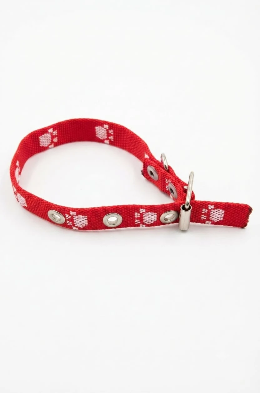 Collar Simple para Gato