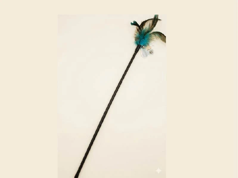 Juguete Con Plumas