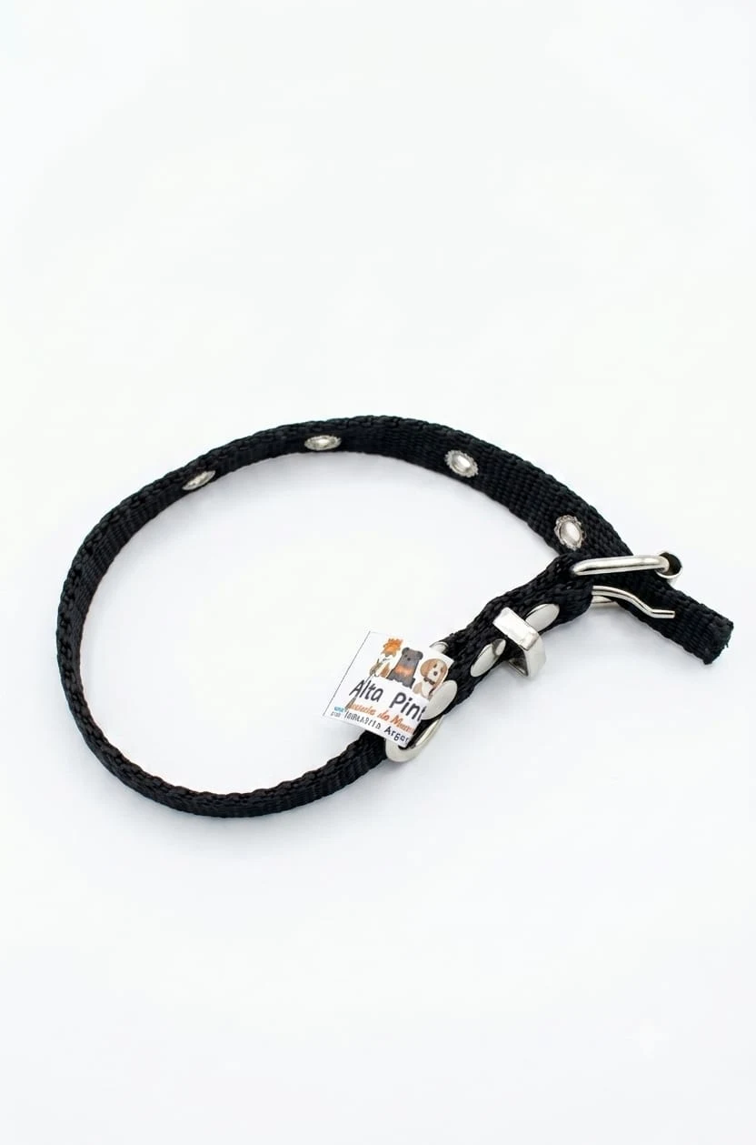 Collar Galón Nº0