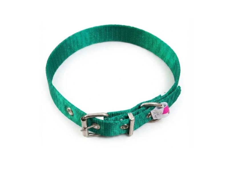 Collar Galón Colores Varios Nº3.