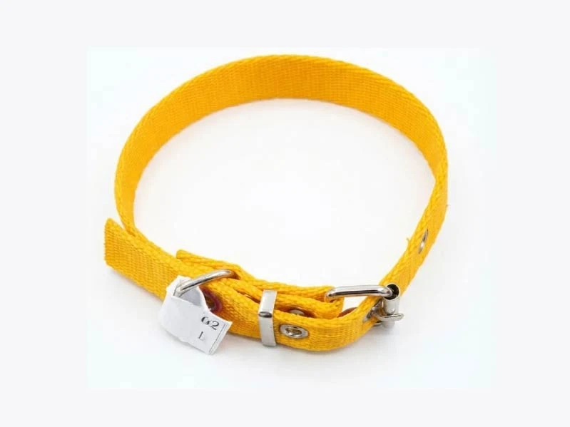 Collar Galón Colores Varios Nº2.