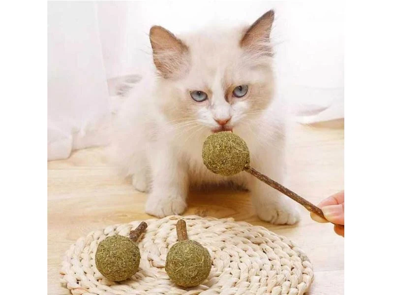 Chupetin Catnip