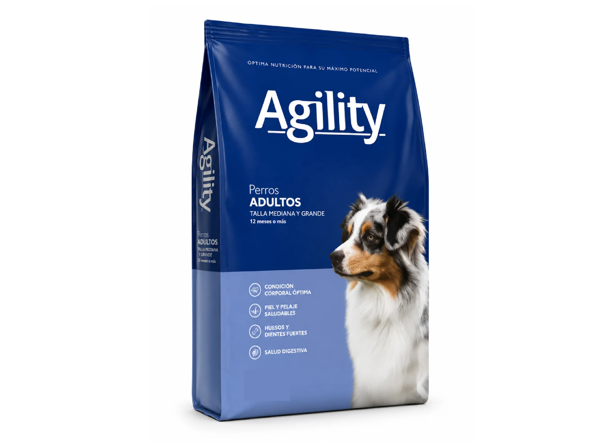AGILITY Adulto Mediano Grande