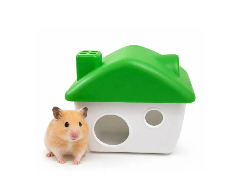 Casita Plástica para Hámster