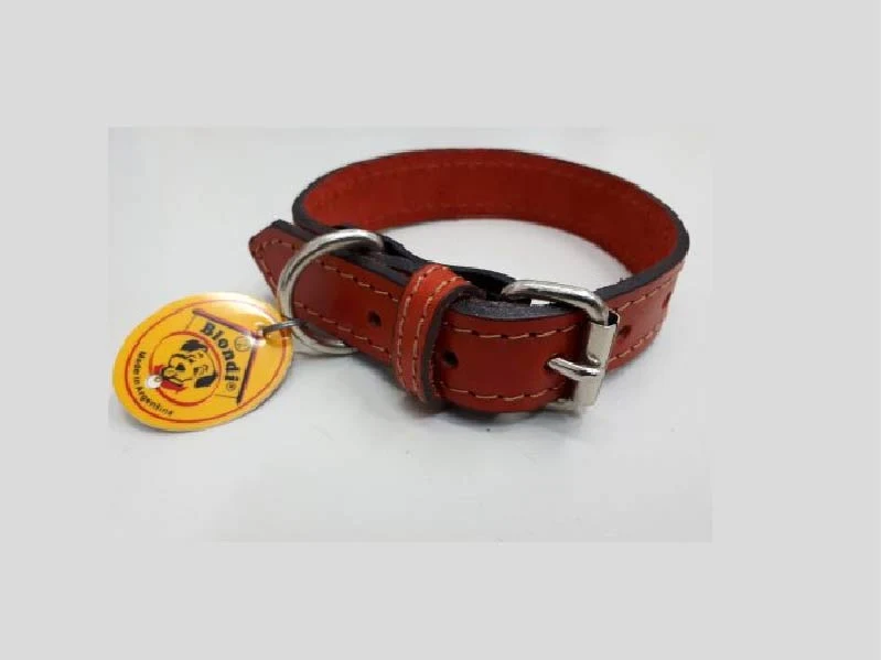 Collar de Cuero Nº 3 BLONDI