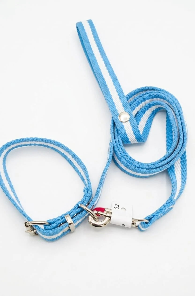 Correa y Collar Galón de Argentina Nº2
