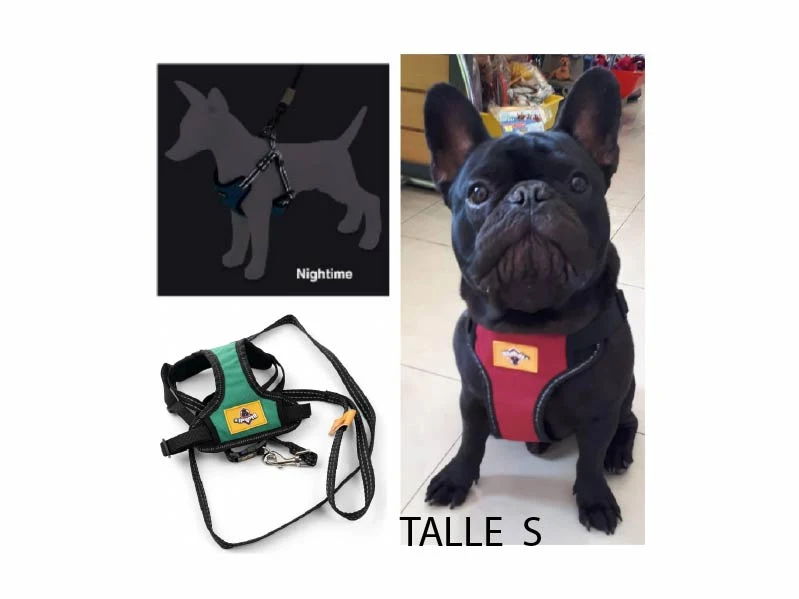 Conjunto Arnés y Correa con Neoprene Blondi 2. Patitas que Aman
