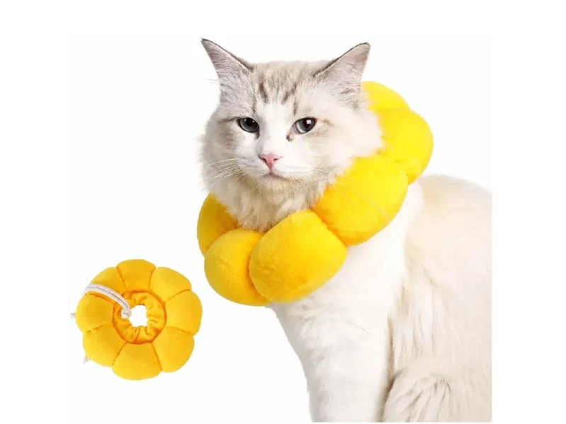 Collar Isabelino Flor XS. Patitas que Aman