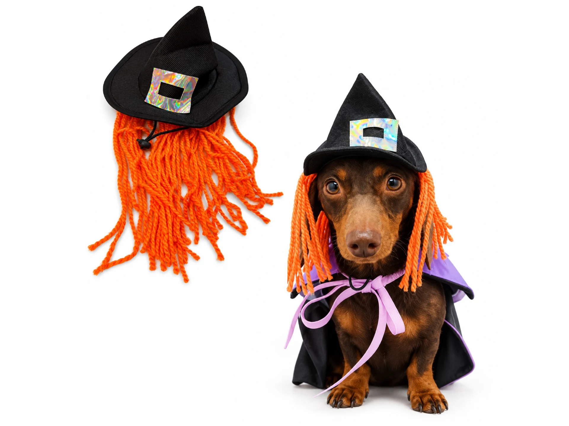 Sombrero de Bruja Perros y Gatos - ANIS. Patitas que Aman