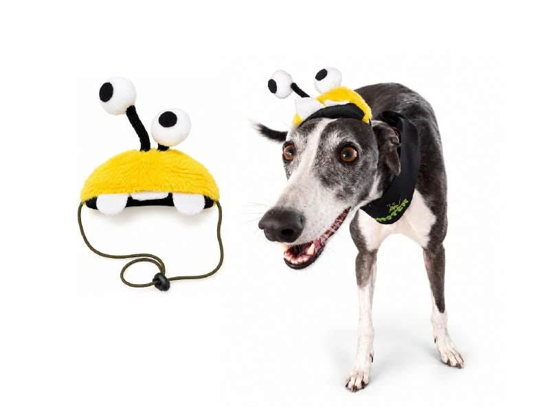 Accesorio Halloween Ojos Perros y Gatos - ANIS. Patitas que Aman
