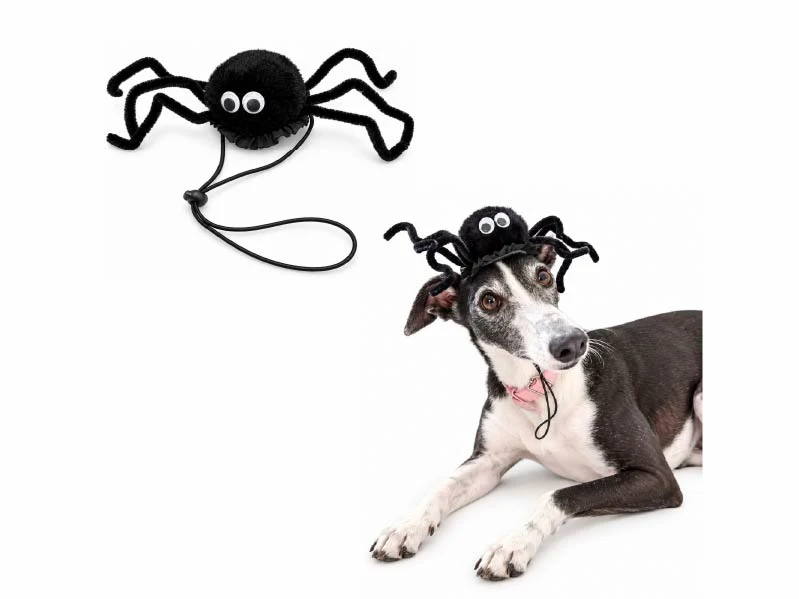 Accesorio Halloween Araña Perros y Gatos - ANIS. Patitas que Aman