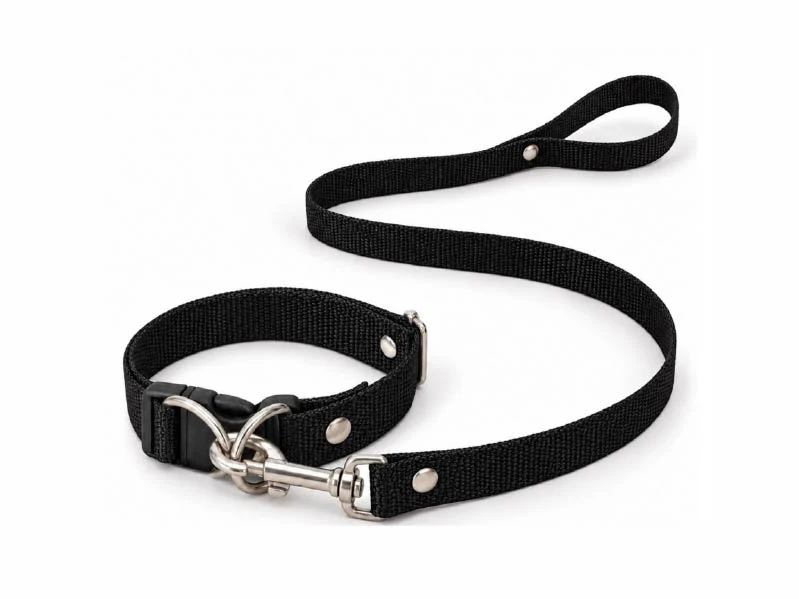 Conjunto Collar + Correa Lisos Large. Patitas que Aman