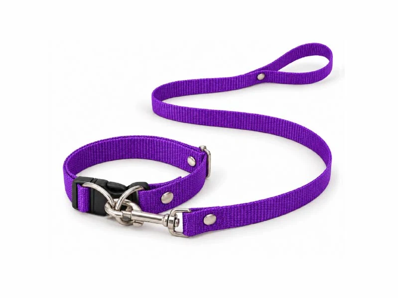 Conjunto Collar + Correa Lisos Small. Patitas que Aman