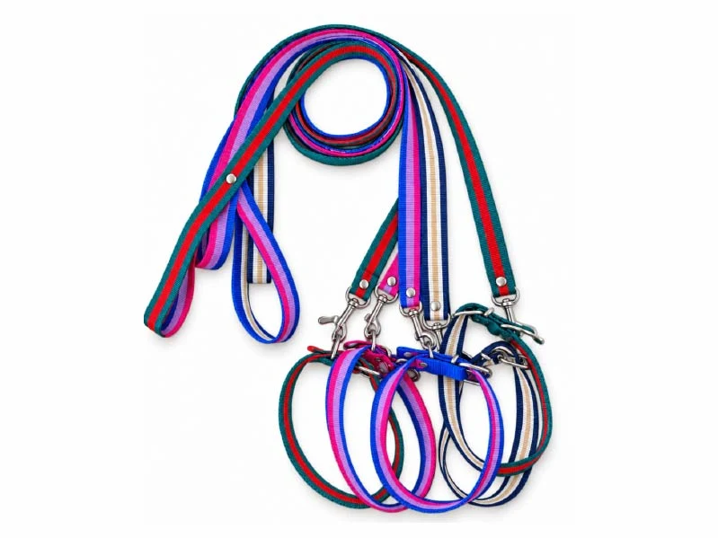 Conjunto Correa+ Collar Cinta Rayado Nº2. Patitas que Aman